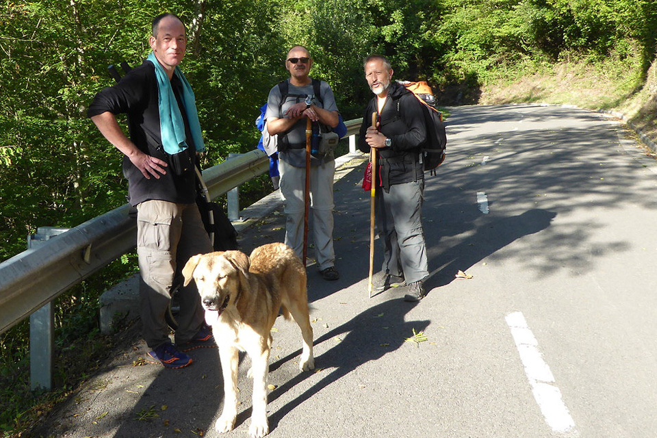 8 Camino-Routen mit dem Wheelie Wanderanhänger-image