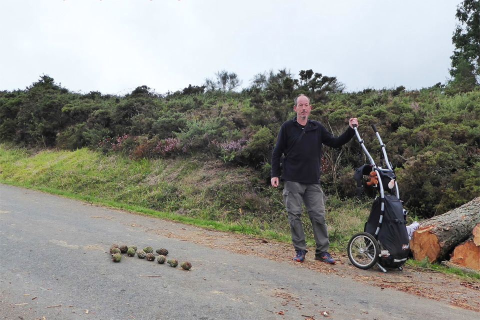 8 Camino-Routen mit dem Wheelie Wanderanhänger-image